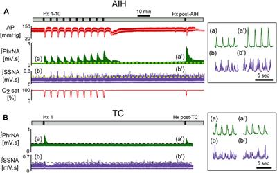 Nucleus tractus solitarii is required for the development and maintenance of phrenic and sympathetic long-term facilitation after acute intermittent hypoxia